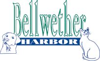 Bellwether Harbor Logo